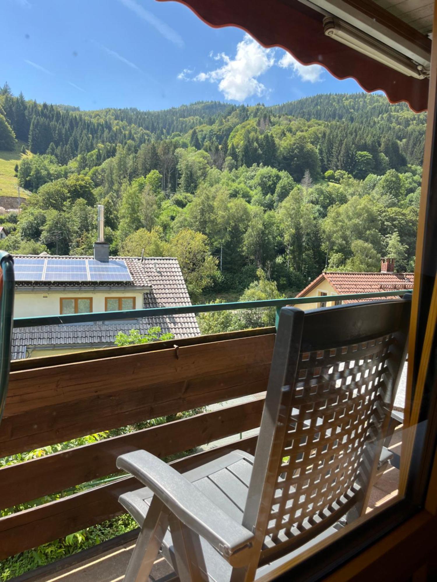 Steiert Panorama Apartments Todtnau Exterior photo